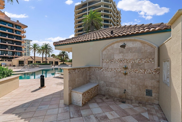 view of pool with a patio