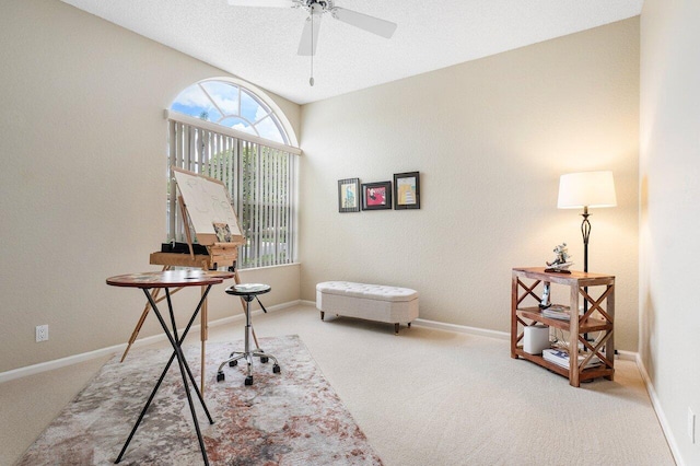 office space with ceiling fan, a textured ceiling, and carpet flooring