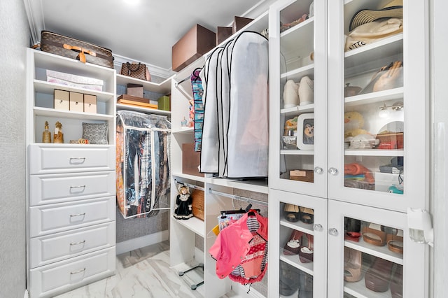 view of spacious closet