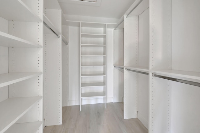 walk in closet featuring light hardwood / wood-style floors