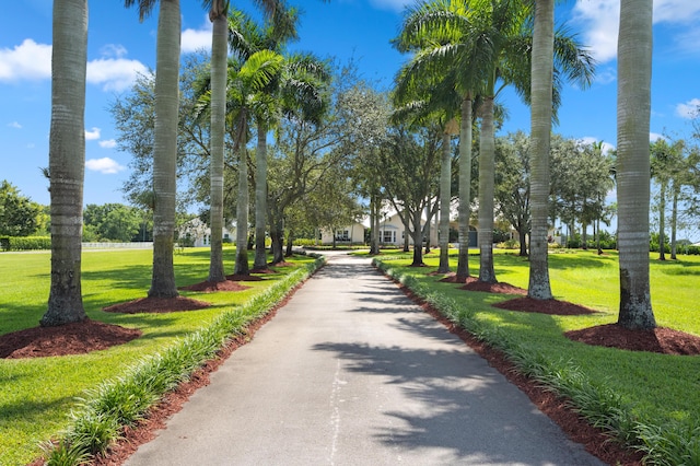 view of community with a yard