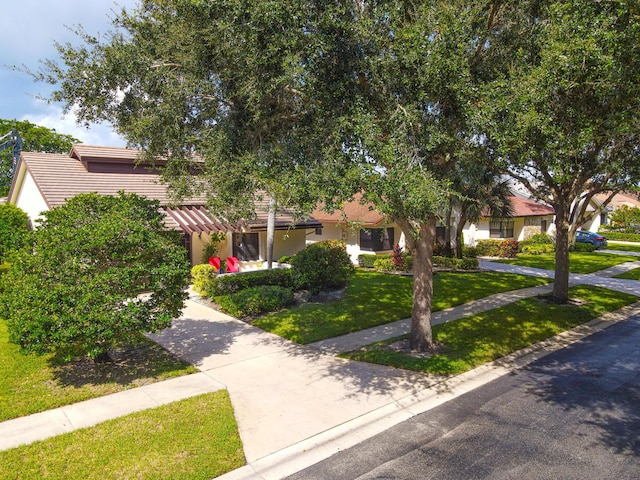 view of property hidden behind natural elements with a front yard