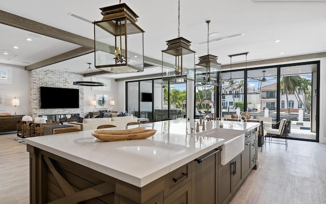 kitchen featuring light wood-style floors, a sink, and a healthy amount of sunlight