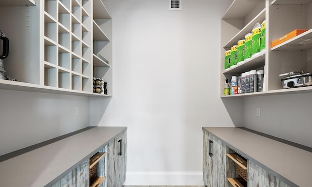 storage area with visible vents