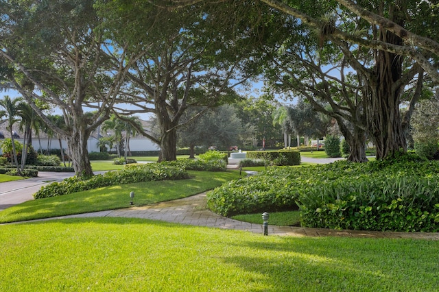 view of home's community featuring a yard