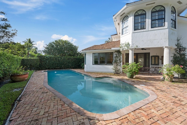 view of pool featuring a patio and ceiling fan