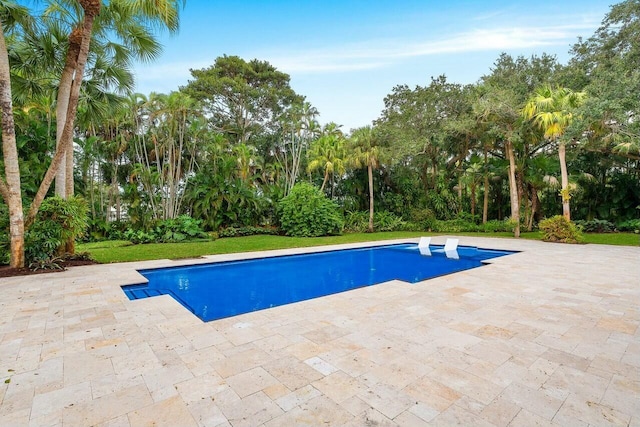 16436 Bridlewood Cir E, Delray Beach, FL 33445 - swimming pool featuring a patio and view of wooded area