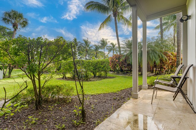 view of yard featuring a patio