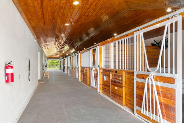 view of horse barn