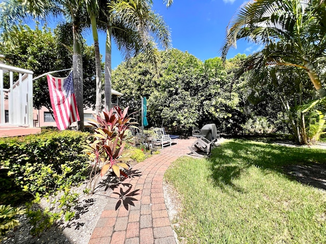 view of yard featuring a patio area