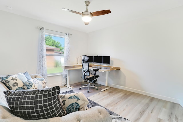 office with ceiling fan and light hardwood / wood-style flooring