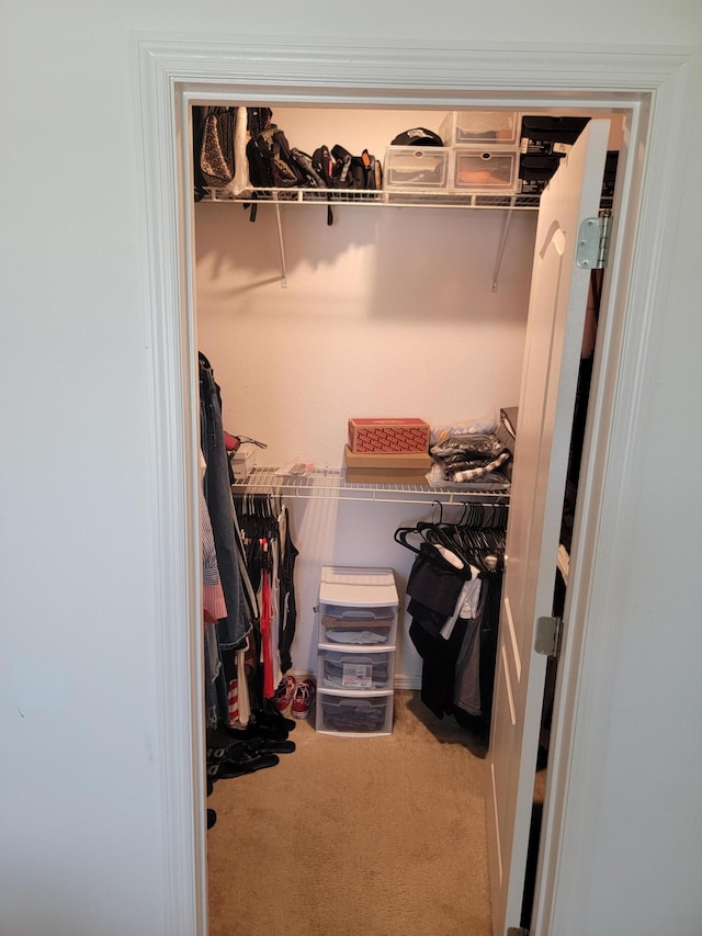 walk in closet with carpet