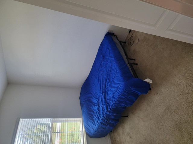 bedroom with carpet flooring