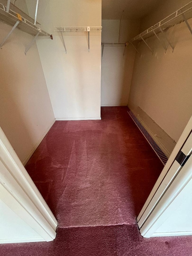 spacious closet featuring carpet