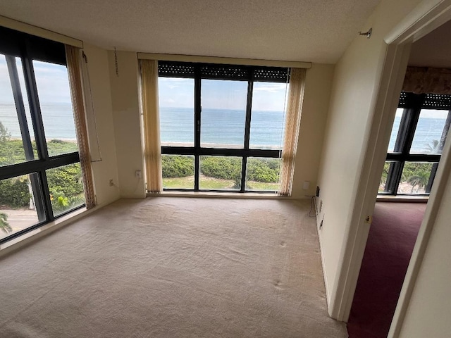 spare room featuring a healthy amount of sunlight, a water view, and carpet floors