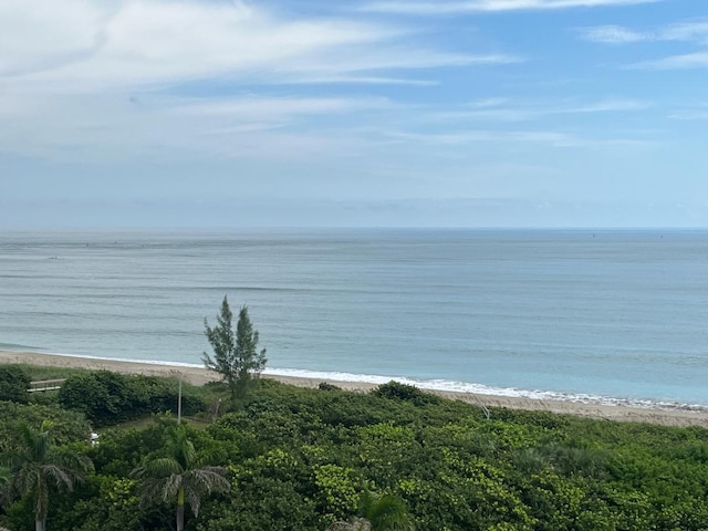 property view of water with a beach view