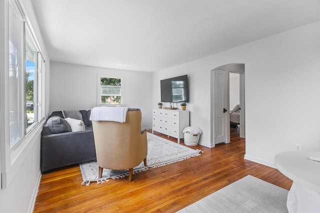 living room featuring hardwood / wood-style floors