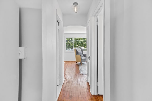 corridor featuring light hardwood / wood-style flooring