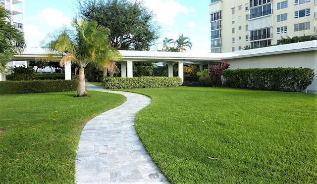 view of community with a yard