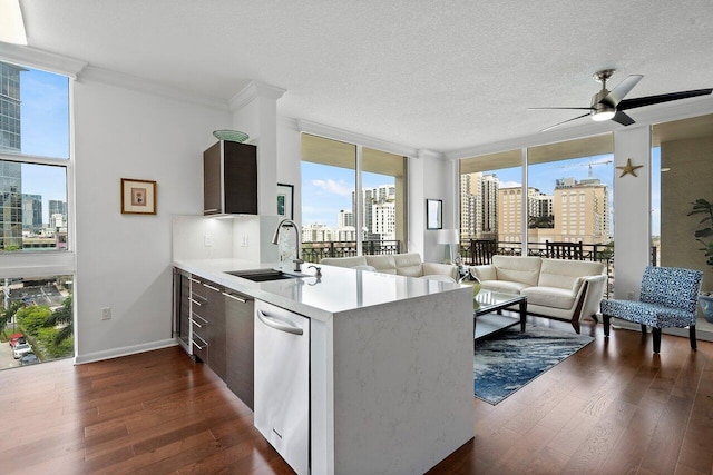 kitchen featuring dark wood-type flooring, floor to ceiling windows, dishwasher, and sink