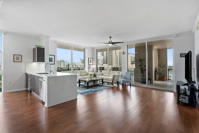 living room featuring dark hardwood / wood-style floors, sink, a wall of windows, crown molding, and a textured ceiling