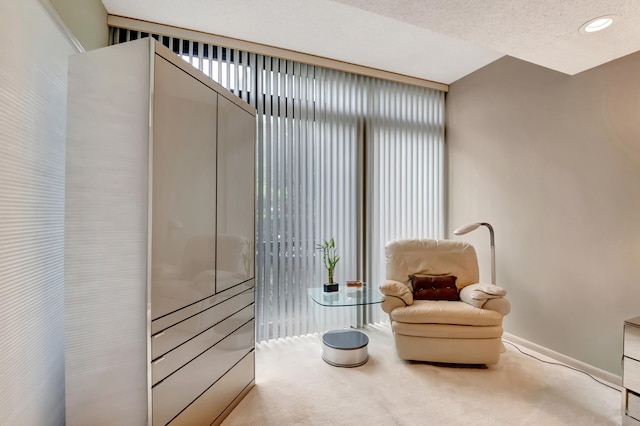 sitting room featuring a textured ceiling and light carpet