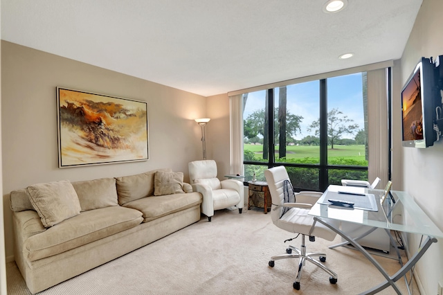 home office featuring carpet floors