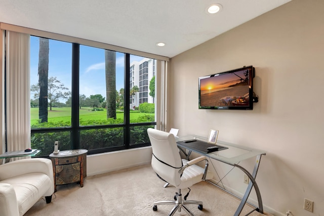 carpeted office featuring a wealth of natural light