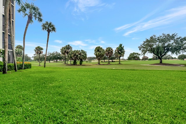 view of community featuring a yard