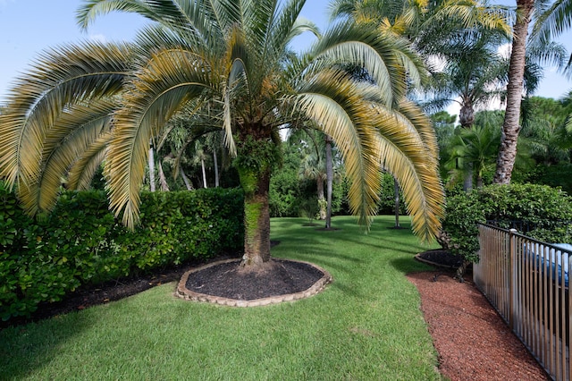 view of yard featuring fence