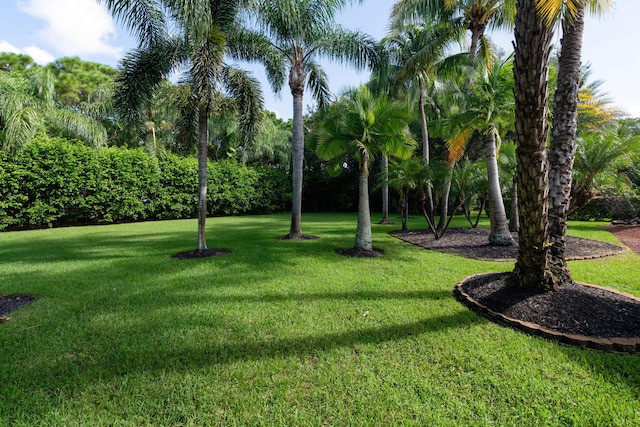 view of home's community featuring a lawn