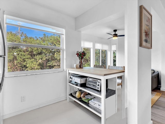 interior space with ceiling fan