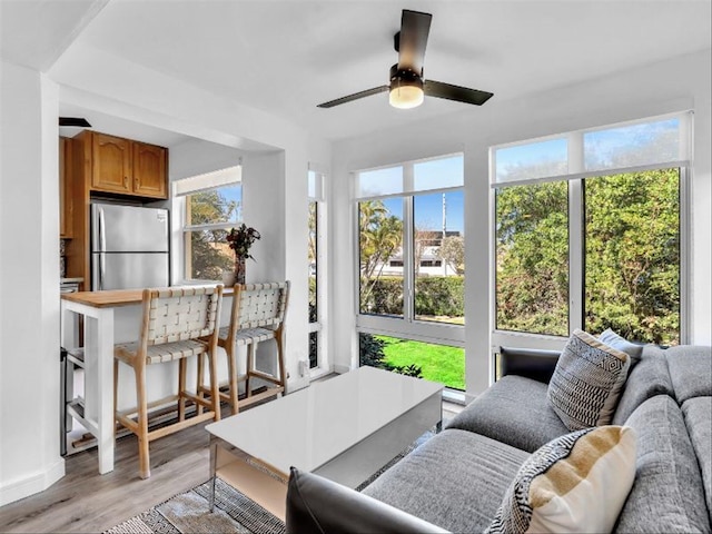 living room with plenty of natural light, ceiling fan, and light hardwood / wood-style flooring