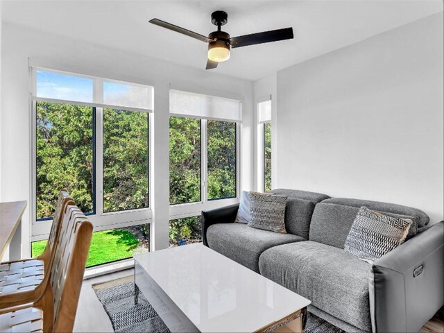 living room featuring ceiling fan, wood-type flooring, and sink