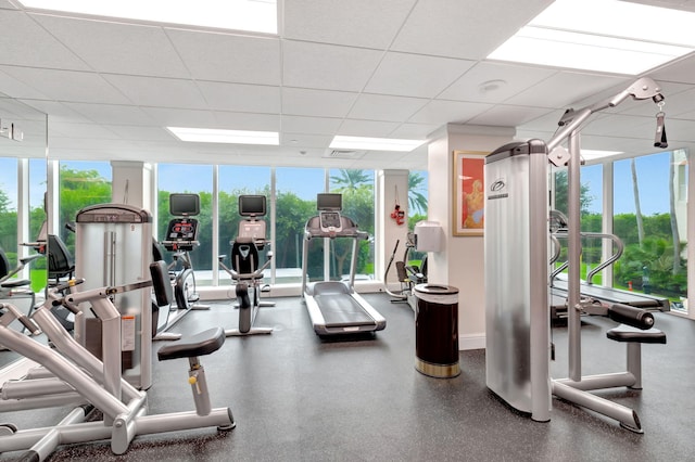 gym with a paneled ceiling and expansive windows