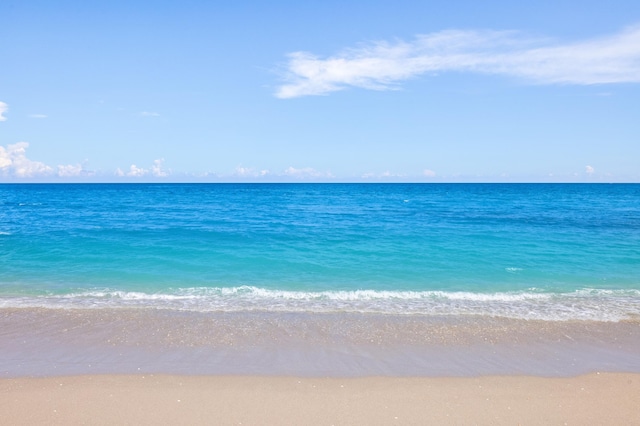 water view with a view of the beach