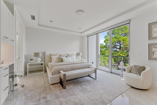 bedroom featuring multiple windows, access to exterior, and a raised ceiling