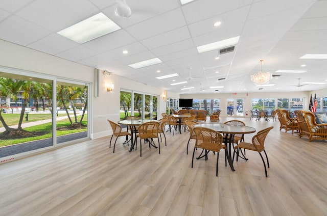 dining room with a drop ceiling, light hardwood / wood-style floors, and a wealth of natural light