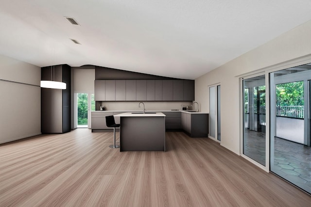 kitchen featuring a breakfast bar, lofted ceiling, a kitchen island with sink, sink, and light hardwood / wood-style flooring