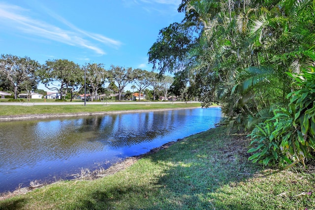 view of water feature