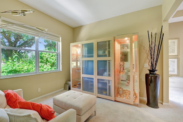 living area with light colored carpet