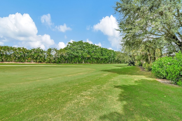 surrounding community featuring a yard