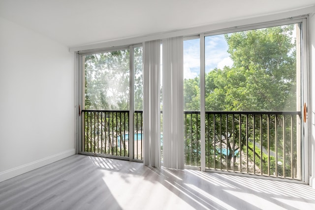 doorway featuring hardwood / wood-style flooring, a healthy amount of sunlight, and expansive windows