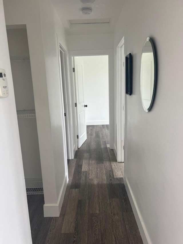 corridor with dark hardwood / wood-style floors