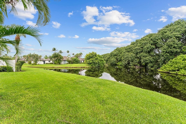 view of home's community with a yard and a water view