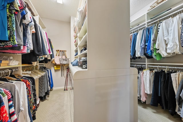 walk in closet featuring light carpet