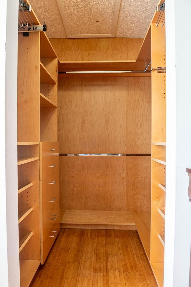 337 Knotty Pine Cir Unit D2, Greenacres, FL 33463 - walk in closet featuring attic access and hardwood / wood-style floors