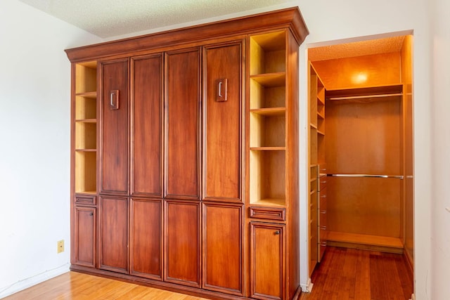 337 Knotty Pine Cir Unit D2, Greenacres, FL 33463 - view of closet