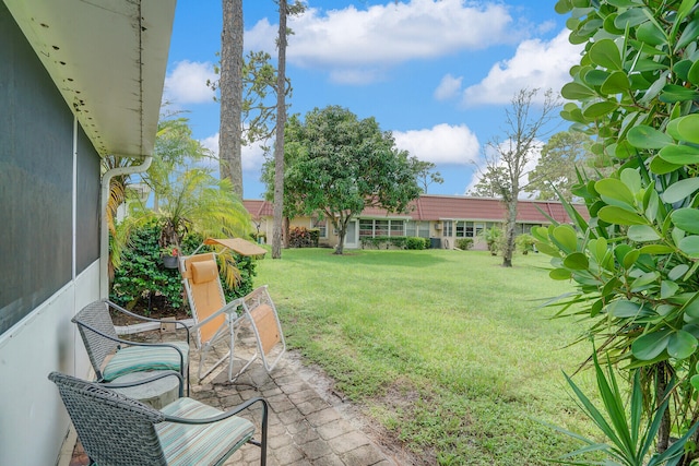 view of yard featuring a patio area