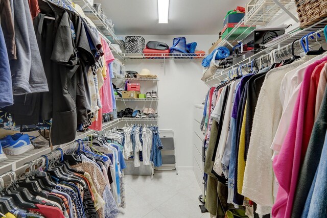 view of spacious closet